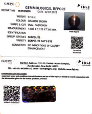 9.18/CT Natural Scapolite Cat's Eye with Govt. Lab Certified-(1221)